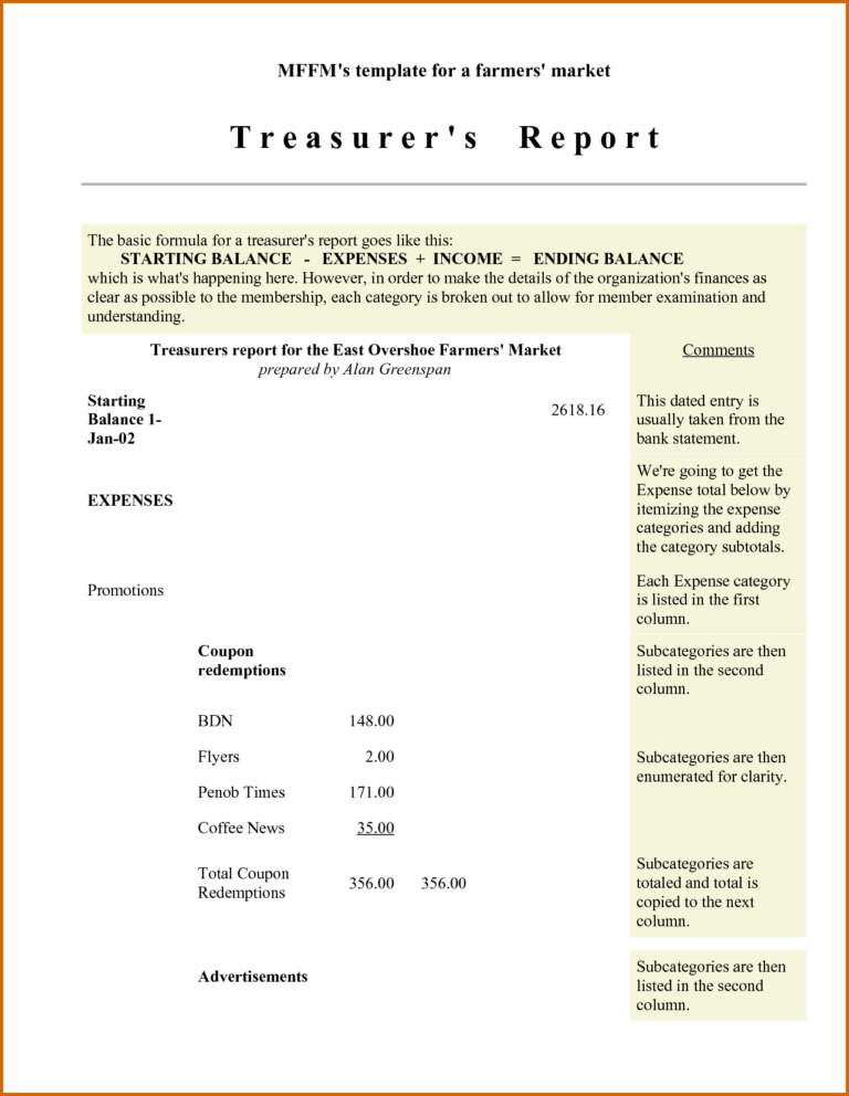 001 Template Ideas Non Profit Treasurer Report Sample in Treasurer