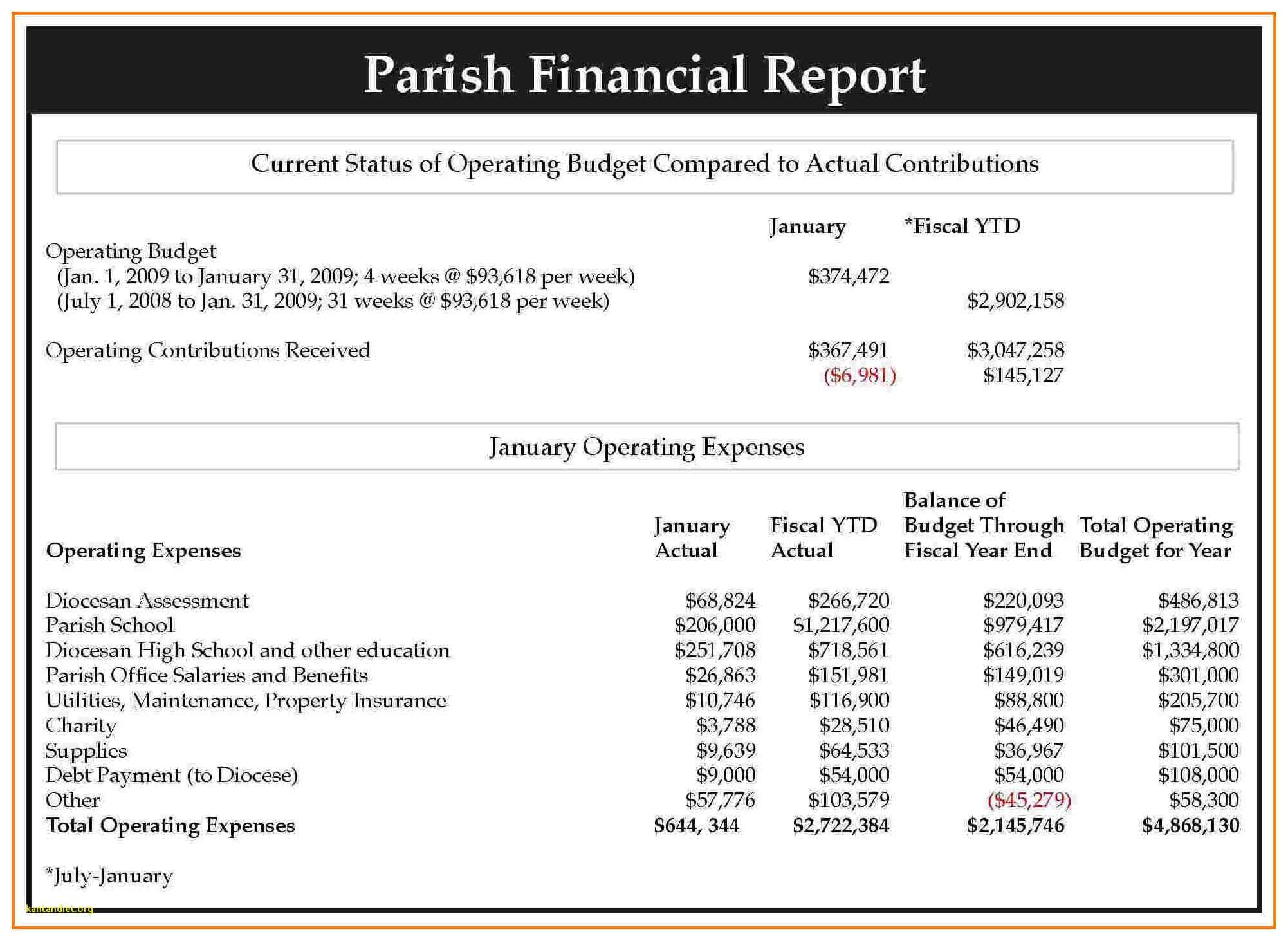 Report пример. Financial Report example. Statement of payments образец. Financial Statements. Financial Report Sample.