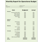 003 Template Ideas Monthly Financial Rare Report Pdf In Monthly Financial Report Template