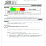 004 20Project Progress Report Excel Free Management Status In Monthly Program Report Template