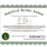 004 Service Dog Certificate Template Frightening Ideas Pdf For Service Dog Certificate Template