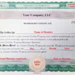 005 Llc Membership Certificate Template Member Staggering Within Llc Membership Certificate Template Word