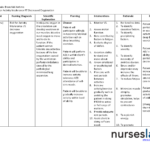 006 Nursing Care Plan Template Magnificent Templates In Nursing Care Plan Templates Blank