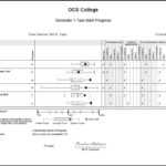 006 Student Progress Report Template Form For Students With Student Progress Report Template