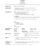 007 Combination Resume Template To Inspire You How Create With Regard To Combination Resume Template Word