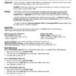 007 Combination Resume Template Word Ideas Reference With Regard To Combination Resume Template Word