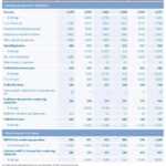 008 Monthly Financial Report Template Statements Format In Intended For Excel Financial Report Templates