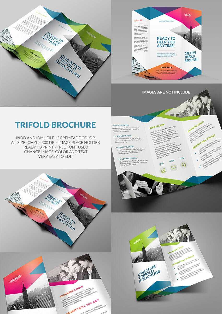 008 Tri Fold Templates Indesign Template Ideas Wondrous Free In Tri Fold Brochure Template Indesign Free Download