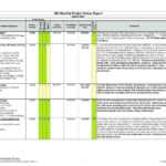 009 Status Report Template Excel Website Project Intended For Testing Daily Status Report Template