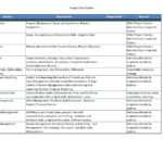 010 Project Management Strategic Plan Template Sample Within Strategic Management Report Template