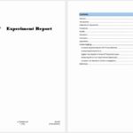010 Template Ideas Annual Report Word For Financial Example With Annual Financial Report Template Word