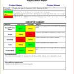 010 Template Ideas Project Management Executive Summary Within Executive Summary Project Status Report Template