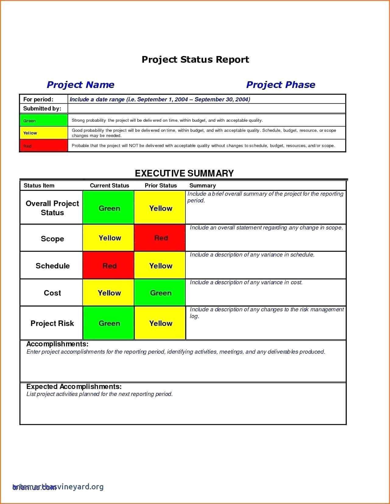 010 Template Ideas Project Management Executive Summary Within Executive Summary Project Status Report Template