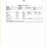 011 Pay Stub Template Word Ideas Phenomenal Free Microsoft With Pay Stub Template Word Document