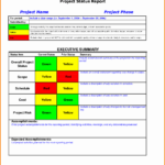 011 Status Report Template Excel Ideas Project Management Pertaining To Monthly Status Report Template