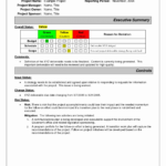 018 Project Status Report Template Excel Software Testing With Testing Daily Status Report Template