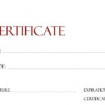 019 Gift Certificate Template Free Download Perfect Format Regarding Custom Gift Certificate Template