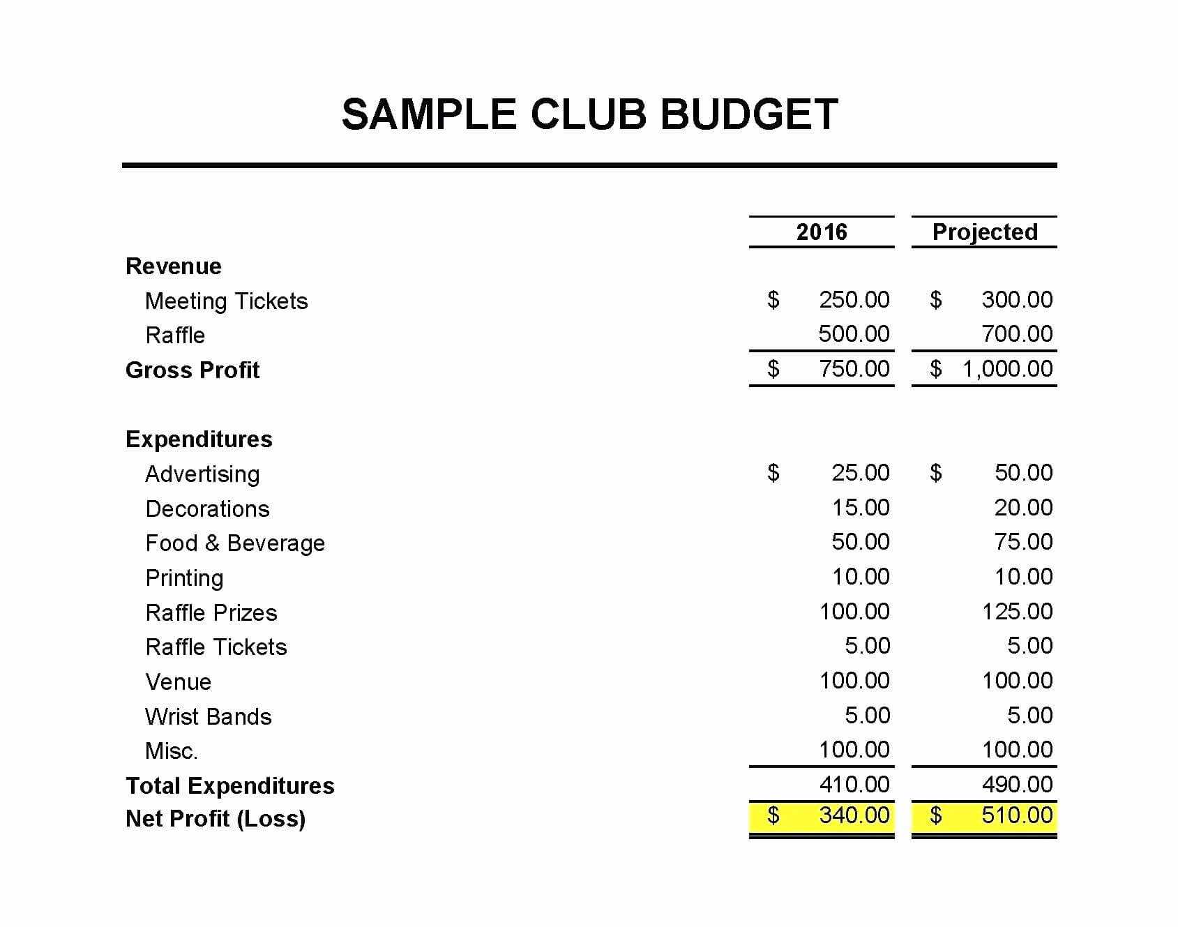 019 Treasurer Report Template Non Profit Lovely Of Ideas Throughout Treasurer Report Template Non Profit