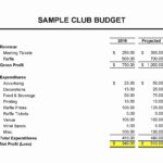 019 Treasurer Report Template Non Profit Lovely Of Ideas With Regard To Non Profit Treasurer Report Template