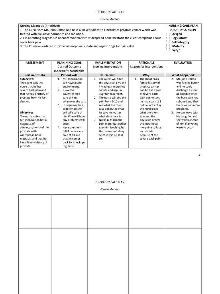 022 Nursing Care Plan Template 5874Fd74B6D87F52678B4960 Throughout Nursing Care Plan Template Word