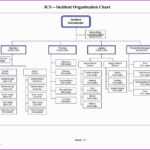 025 Organogram Template Word Best Of Blank Flow Chart For For Organogram Template Word Free