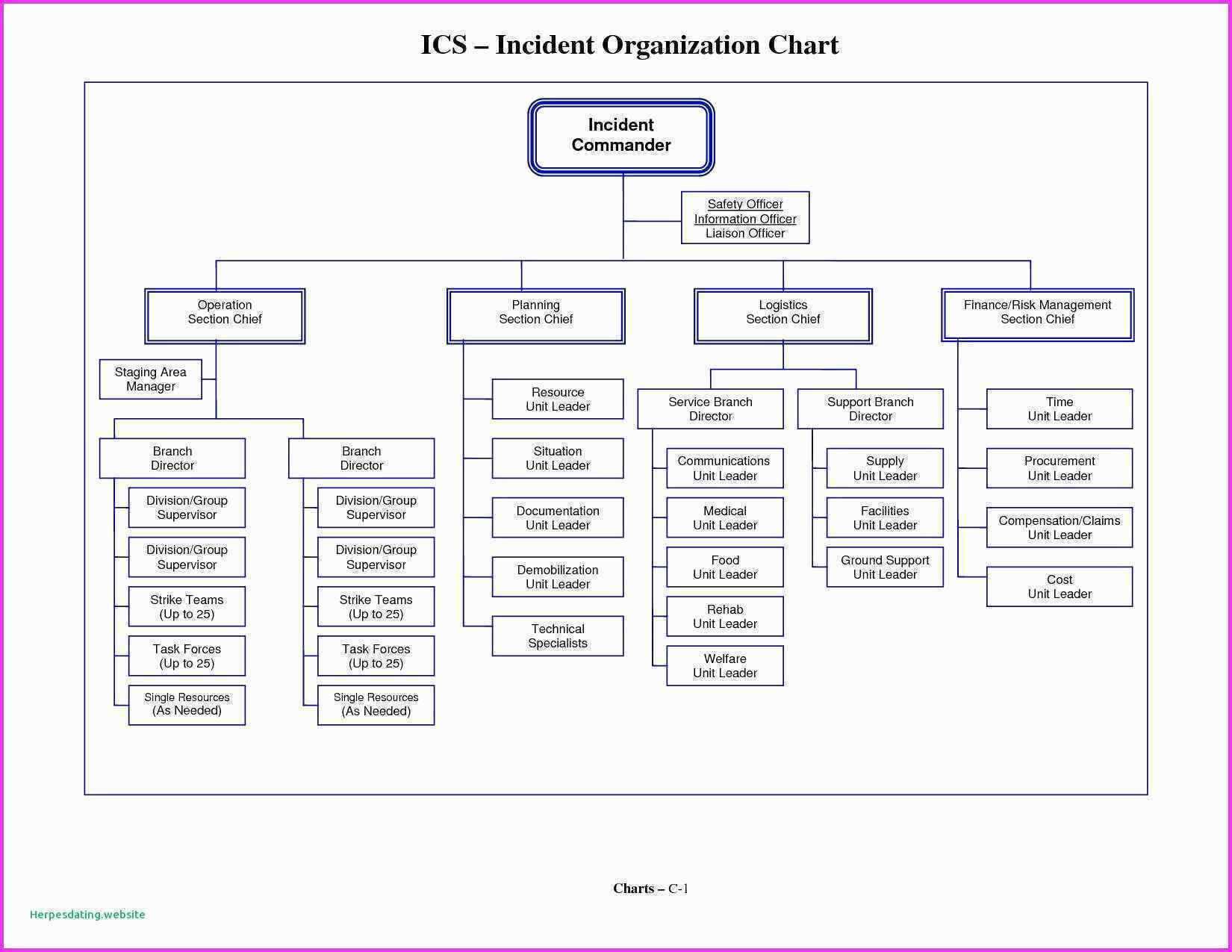 025 Organogram Template Word Best Of Blank Flow Chart For For Organogram Template Word Free