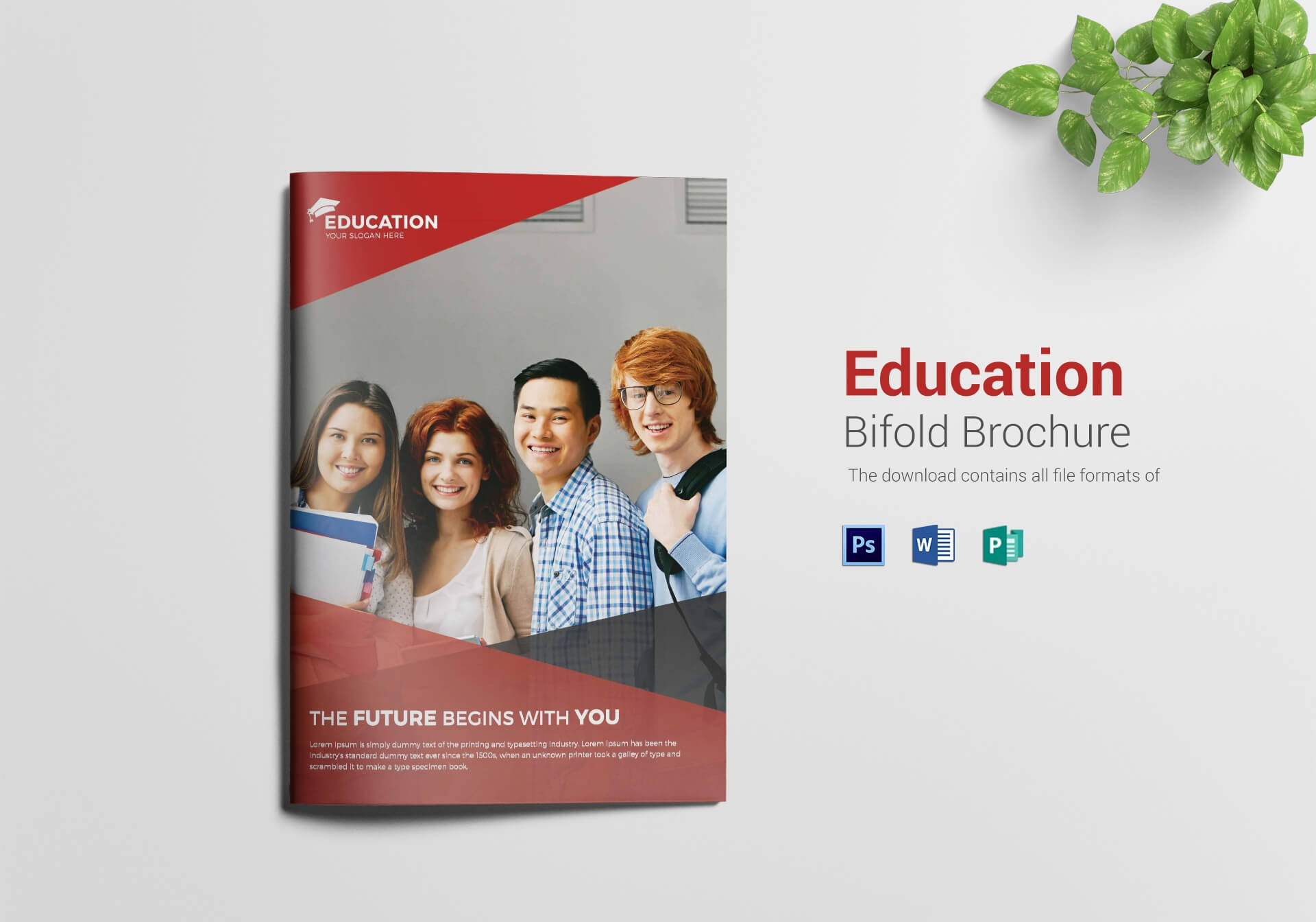 10+ Educational Brochure Design Templates, Examples With Regard To Brochure Design Templates For Education