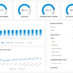 10 Executive Dashboard Examples Organizeddepartment Throughout Financial Reporting Dashboard Template