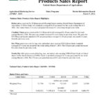 11+ Annual Sales Report Examples – Pdf, Word, Pages | Examples Intended For Sales Trip Report Template Word