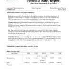 11+ Annual Sales Report Examples – Pdf, Word, Pages | Examples Intended For Sales Trip Report Template Word