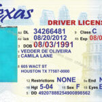 12 Free Drivers License Template Photoshop | Proposal Resume Throughout Blank Drivers License Template