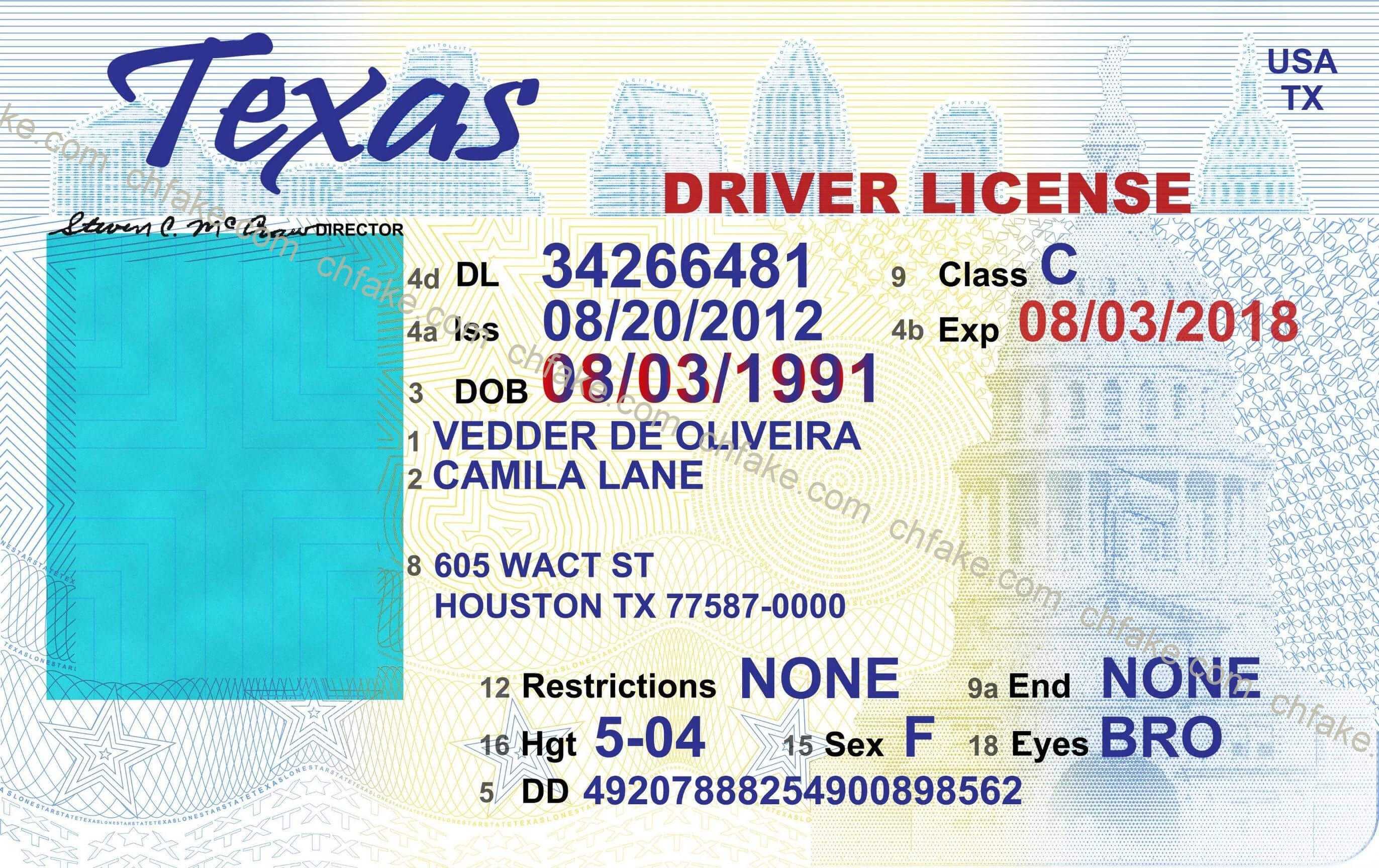 12 Free Drivers License Template Photoshop | Proposal Resume Throughout Blank Drivers License Template