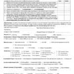 12+ Harassment Investigation Checklist Examples – Pdf Inside Sexual Harassment Investigation Report Template