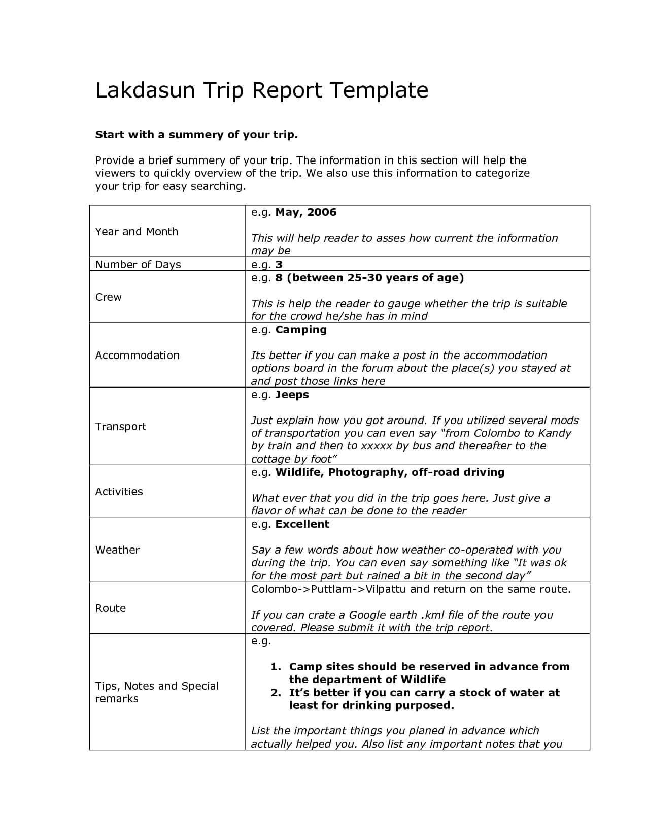 16 Business Travel Report Template Images – Sample Business Inside Business Trip Report Template