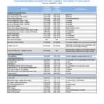 23 Editable Bank Statement Templates [Free] ᐅ Template Lab Inside Credit Card Statement Template Excel