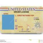 24 Images Of South Carolina Driver License Template Blank inside Blank Drivers License Template