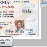 26 Images Of Georgia Identification Card Template for Georgia Id Card Template