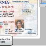 26 Images Of Georgia Identification Card Template For Georgia Id Card Template