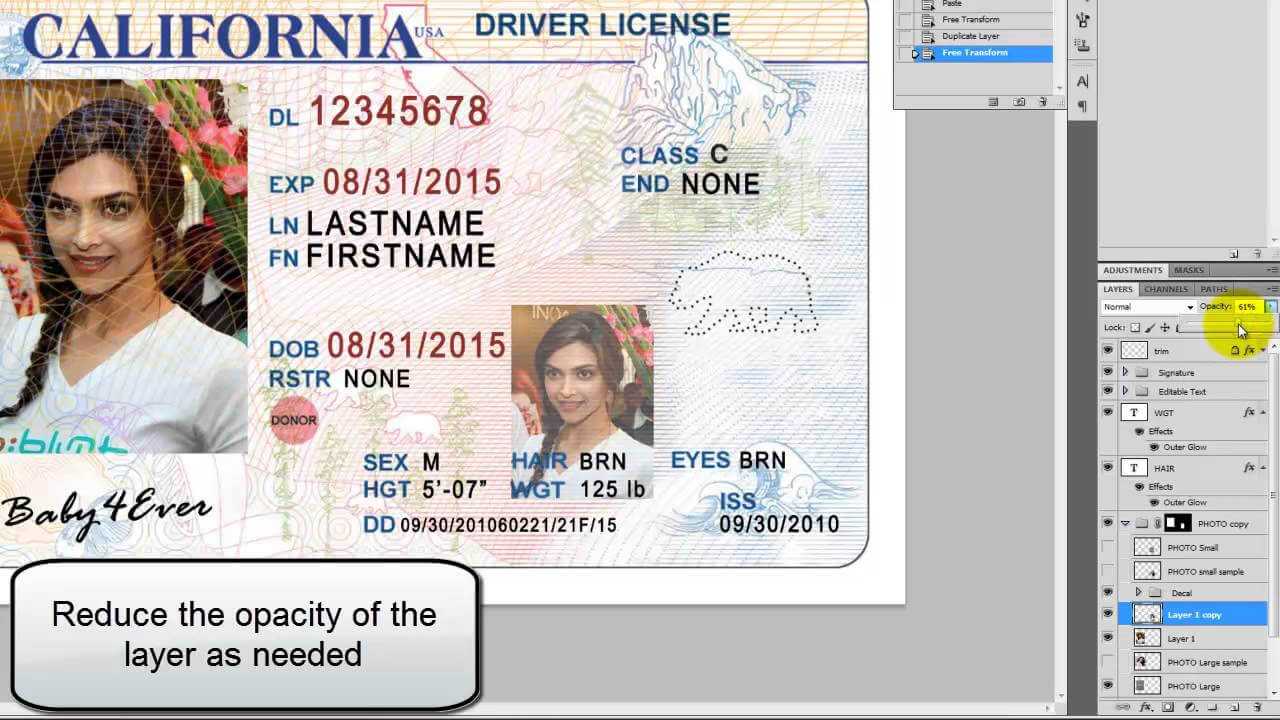 26 Images Of Georgia Identification Card Template For Georgia Id Card Template