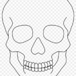 29 Skull Clipart Template Free Clip Art Stock Illustrations In Blank Sugar Skull Template