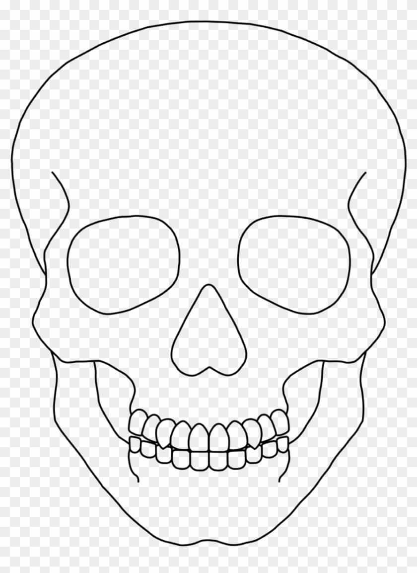 29 Skull Clipart Template Free Clip Art Stock Illustrations In Blank Sugar Skull Template