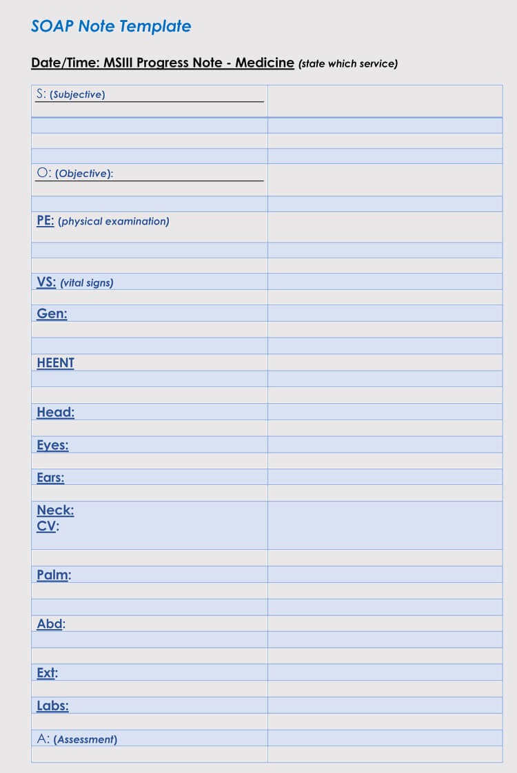 35+ Soap Note Examples (Blank Formats & Writing Tips) Intended For Soap Note Template Word