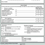 37 Blank Death Certificate Templates [100% Free] ᐅ Template Lab For Fake Death Certificate Template