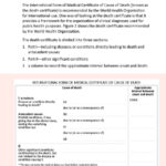 37 Blank Death Certificate Templates [100% Free] ᐅ Template Lab In Fake Death Certificate Template