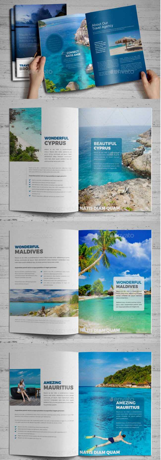 40+ Best Travel And Tourist Brochure Design Templates 2019 In Travel And Tourism Brochure Templates Free