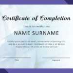 40 Fantastic Certificate Of Completion Templates [Word Throughout Class Completion Certificate Template