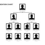 40 Organizational Chart Templates (Word, Excel, Powerpoint) For Free Blank Organizational Chart Template