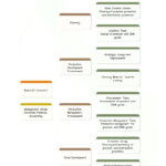 40 Organizational Chart Templates (Word, Excel, Powerpoint) Regarding Company Organogram Template Word
