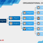 40 Organizational Chart Templates (Word, Excel, Powerpoint) Throughout Organogram Template Word Free