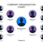 40 Organizational Chart Templates (Word, Excel, Powerpoint) With Org Chart Template Word